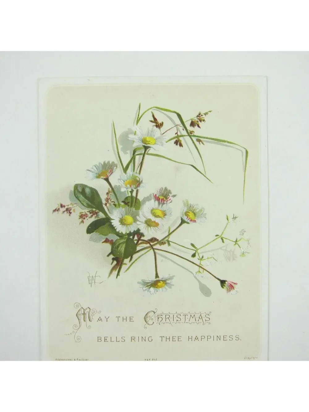 Victorian Christmas Card Hildesheimer & Faulkner White Daisy Flowers Antique